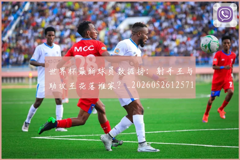 世界杯最新球员数据榜:射手王与助攻王花落谁家?_20260526125718