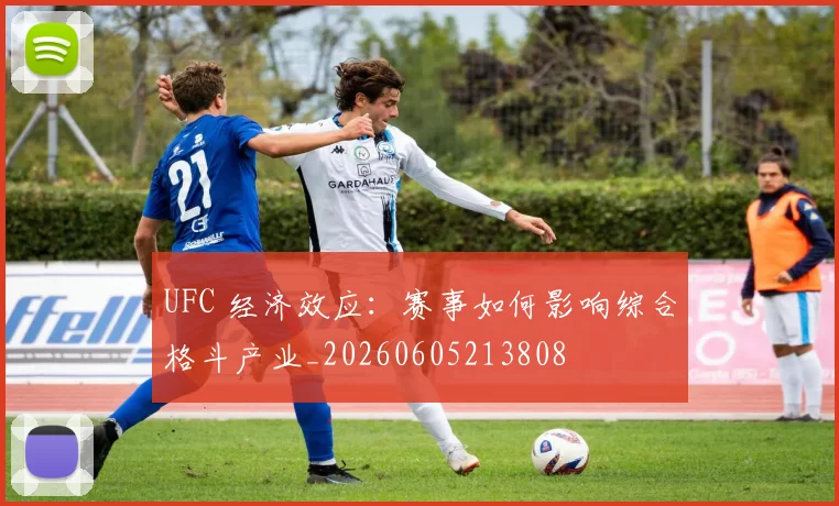 UFC 经济效应:赛事如何影响综合格斗产业_20260605213808