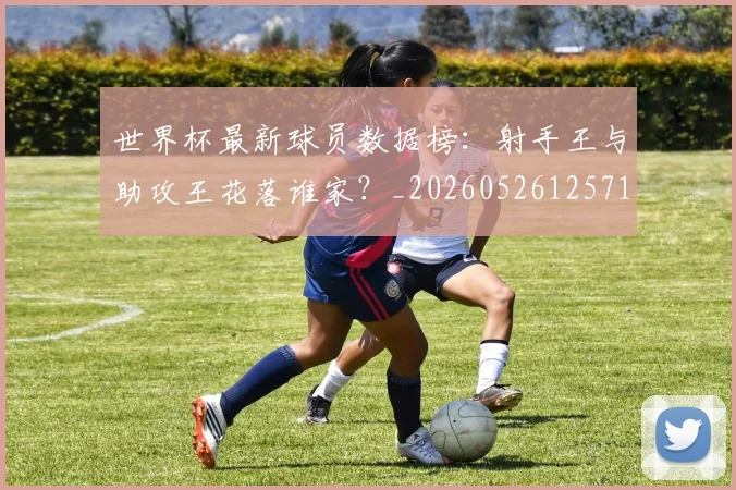 世界杯最新球员数据榜:射手王与助攻王花落谁家?_20260526125718