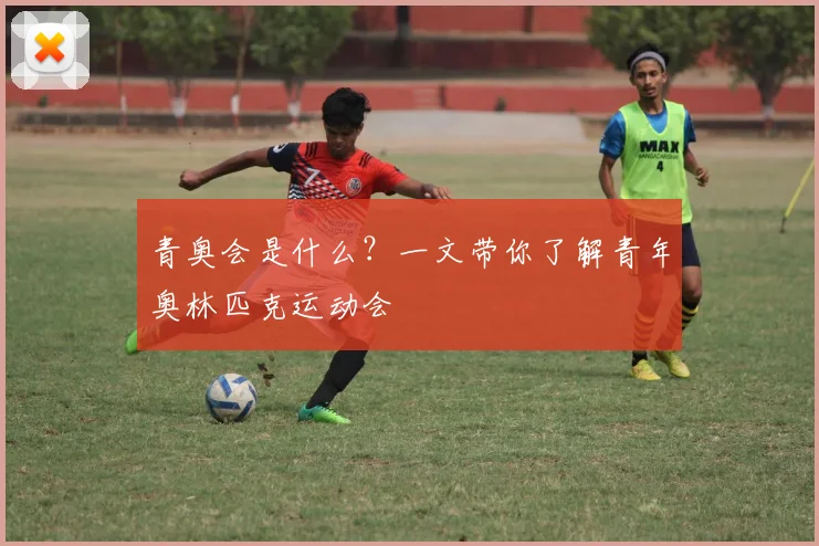 青奥会是什么?一文带你了解青年奥林匹克运动会